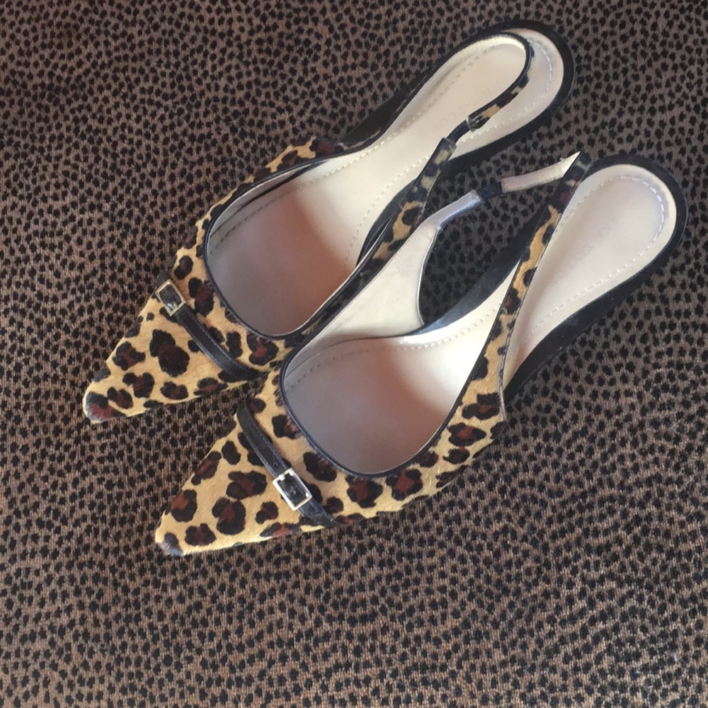 Ann Taylor Animal Print Calfskin Shoes